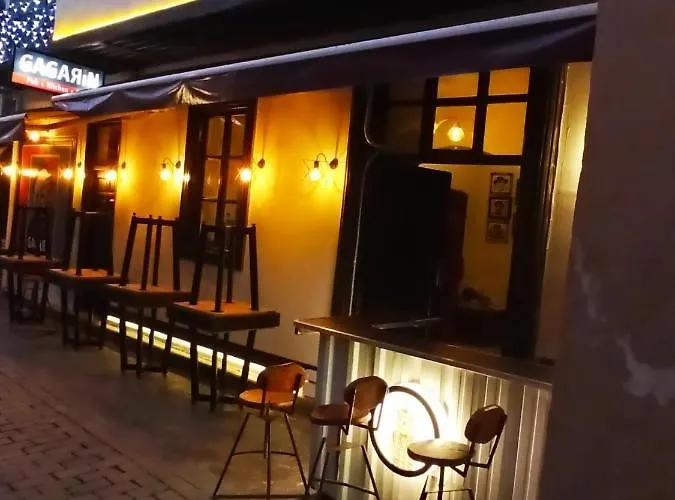 Hotell Gagarin Pub &